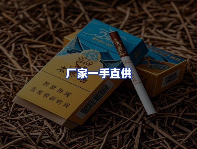 专业团队